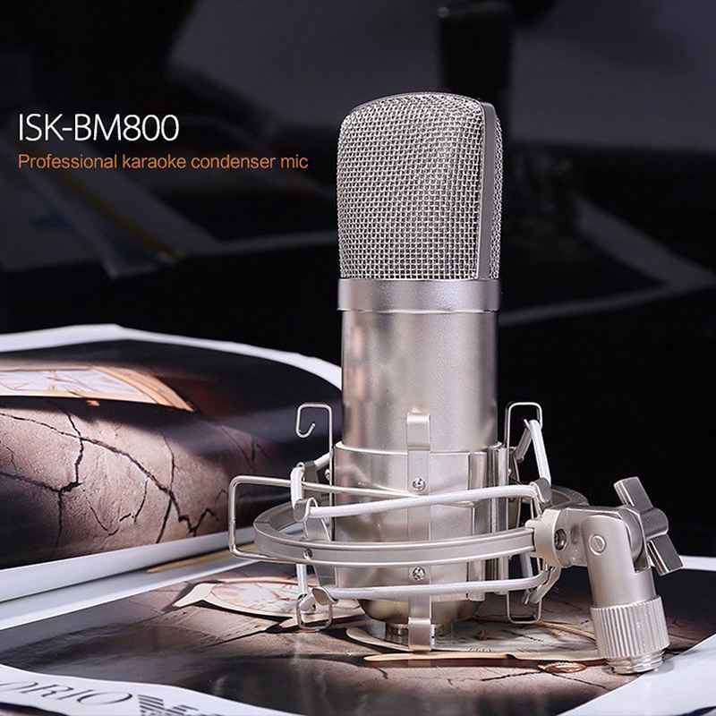 ISK BM 800