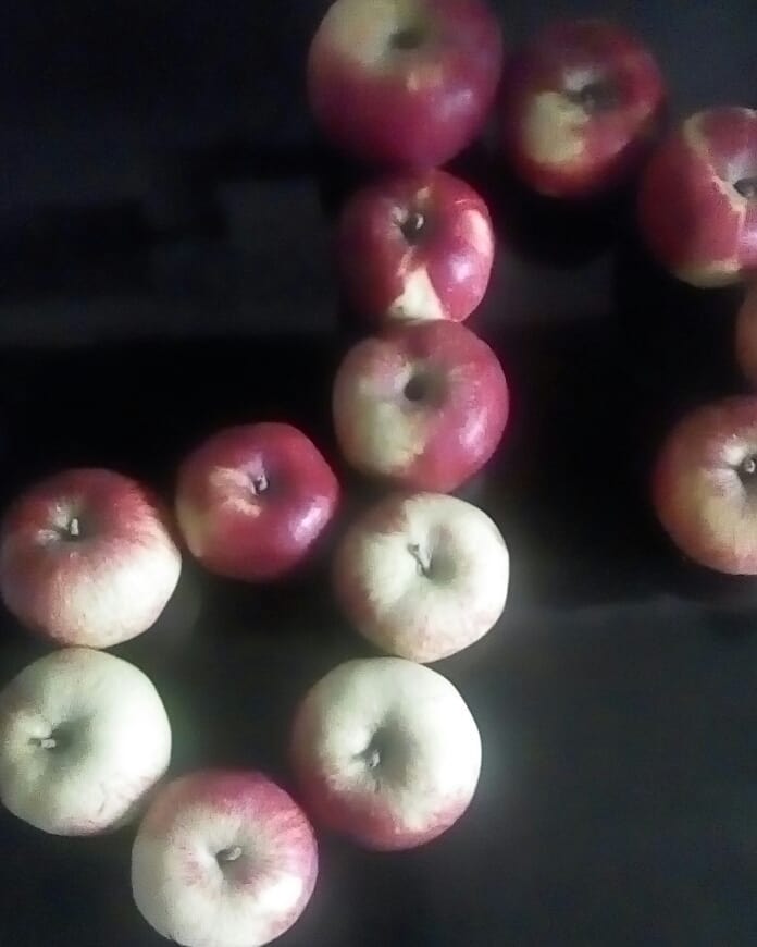 apple1